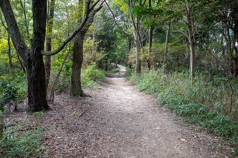 Japan-Kobe-Hiking-Higashiyama - But also nice flat areas, although as mentioned, since it was a shorter hike, I did not run.