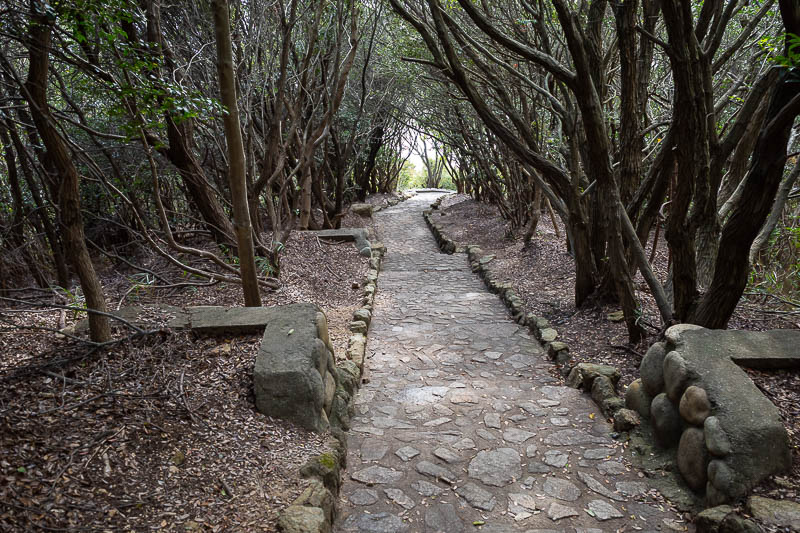 Japan-Kobe-Hiking-Higashiyama - The path down if you avoid all the cable cars, is a staircase.