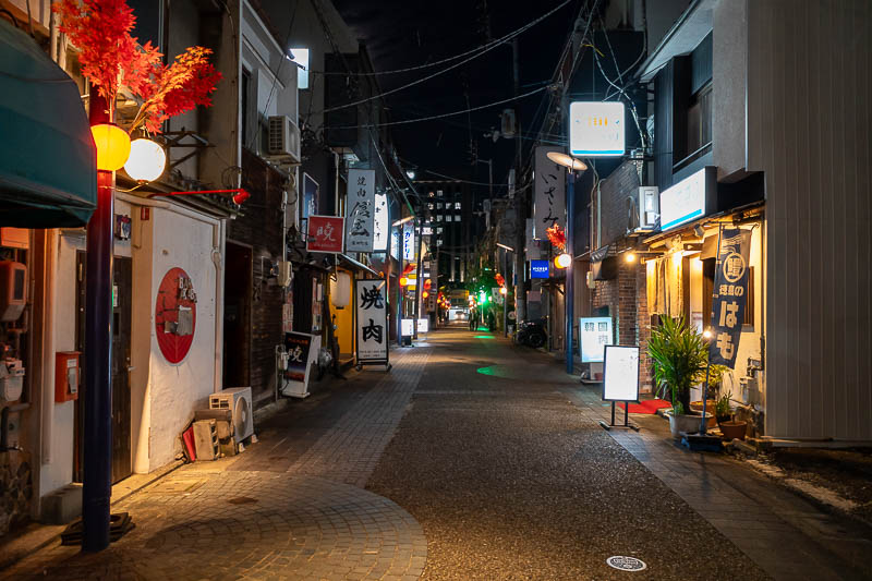 Japan-Tokushima-Ramen - I was a bit surprised that a lot of the crossing streets are semi pedestrianalized, but still basically closed. This was the busiest looking of about 