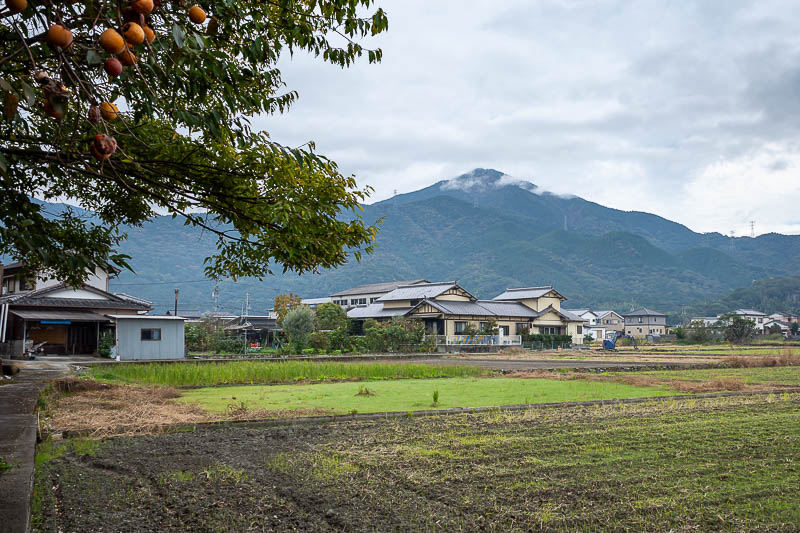 Trip 13 to Japan - October and November 2025 - Another view of the mountain. I should mention there are actually 3 convenience stores near the station, very surprising as the town seems almost aban