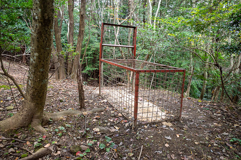 Trip 13 to Japan - October and November 2025 - Bear trap! Actually these are for pigs.