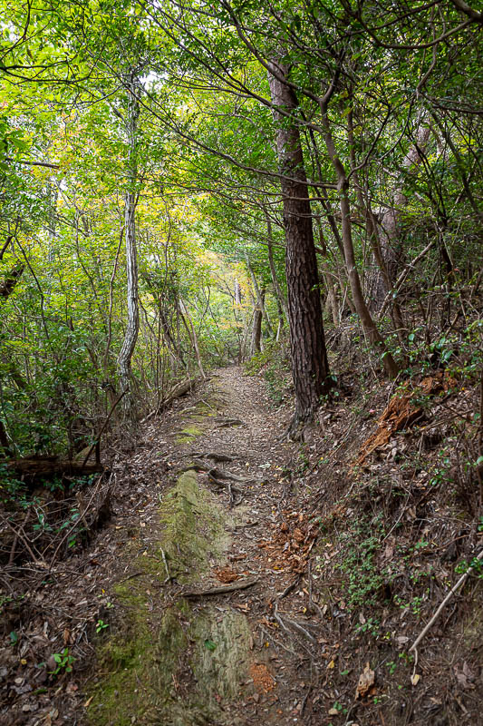 Trip 13 to Japan - October and November 2025 - The trail was great.