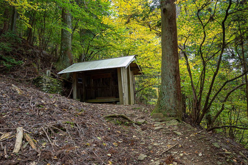 Trip 13 to Japan - October and November 2025 - Getting nearer the top, here is a spot to take a rest.