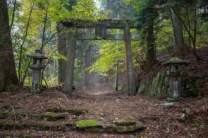 Trip 13 to Japan - October and November 2025 - Torii gate and a bit of fog. I wished there was more fog.