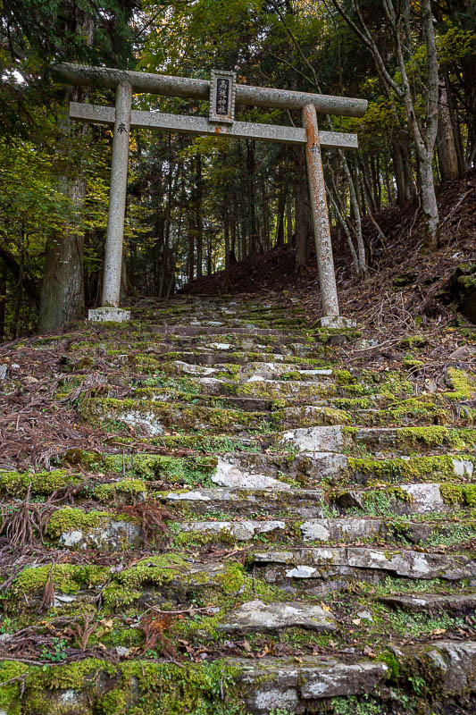 Trip 13 to Japan - October and November 2025 - More torii gates at this Buddhist temple.