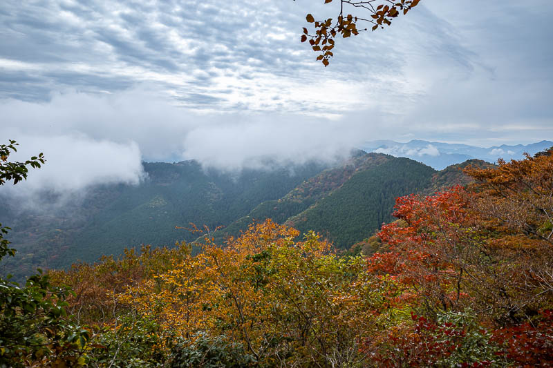 Trip 13 to Japan - October and November 2025 - There is however a view over the back to Mount Tsurugi (except its hidden by fog), which is the most popular mountain on Shikoku. It is strangely very