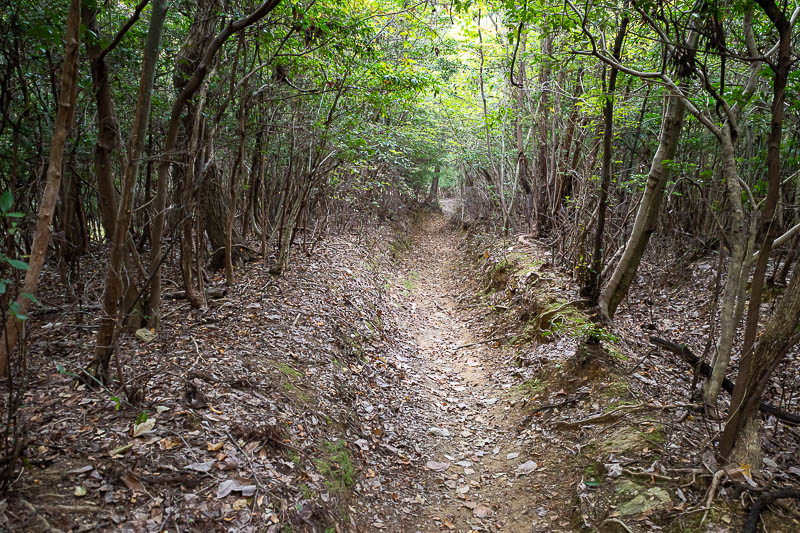 Trip 13 to Japan - October and November 2025 - Time for my descent, the same way I came up.