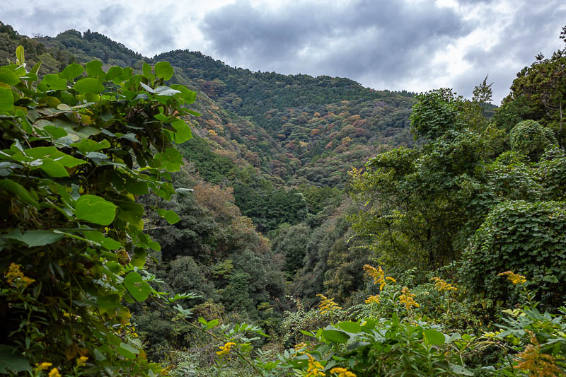 Trip 13 to Japan - October and November 2025 - Back at the bottom. There are other hikes nearby.