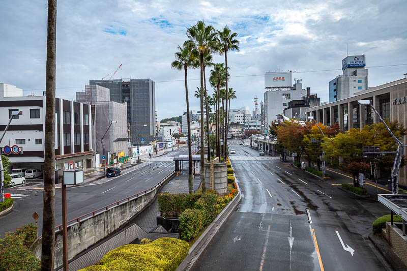 Japan-Tokushima-Castle-Mount Bizan - Looking back towards the station, and there are palm trees. It does not seem very tropical at the moment.