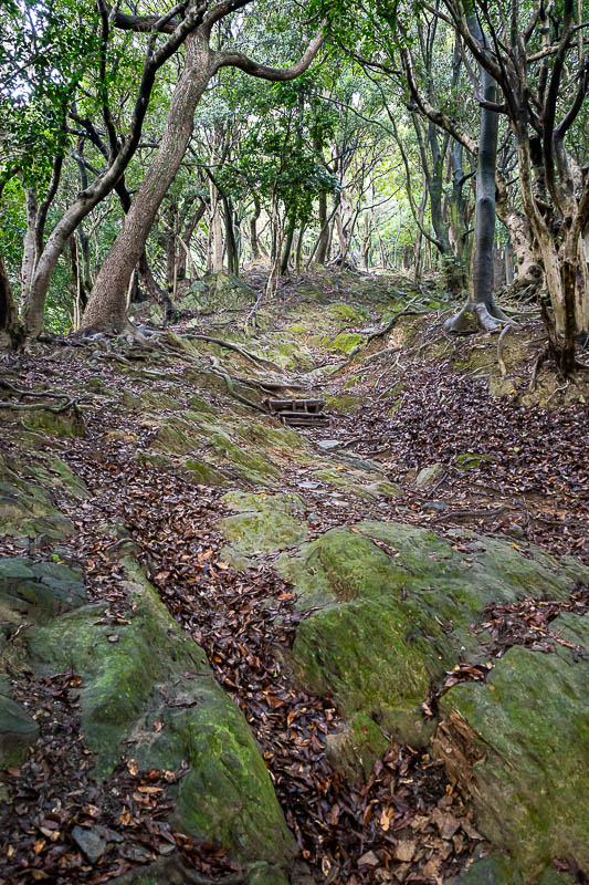 Japan-Tokushima-Castle-Mount Bizan - After the strange rest area, the mossy ascent commences.