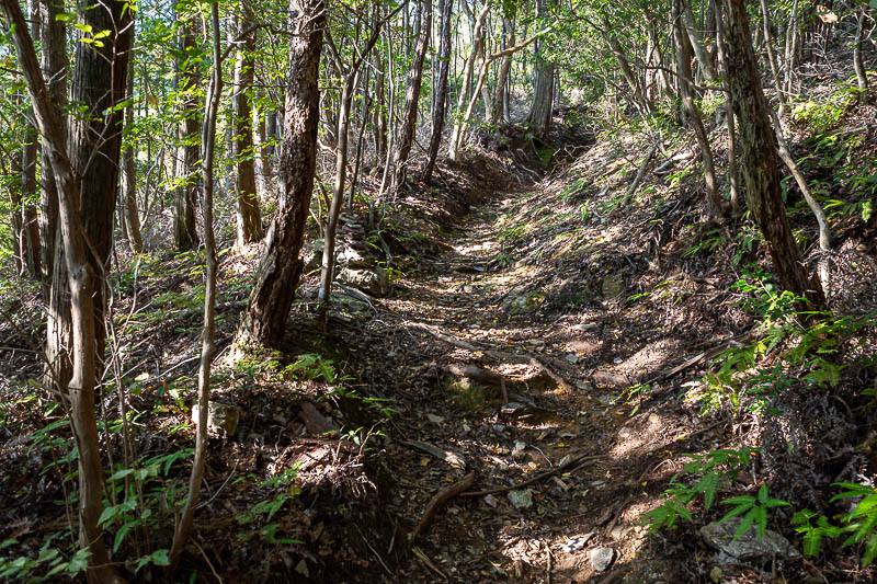 Japan-Tokushima-Hiking-Mount Nakatsumine - Also surprising, the first part of the trail behind the gate in the above pic, is the hardest part to follow, there are many other ways up, I think on