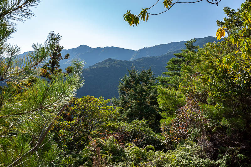 Japan-Tokushima-Hiking-Mount Nakatsumine - I will go up there.