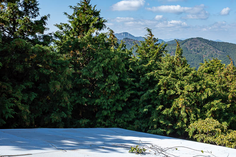 Japan-Tokushima-Hiking-Mount Nakatsumine - The reason I think it might no longer be used, this departure ramp runs straight into big trees. Also if you squint you can see a few big wind farm st