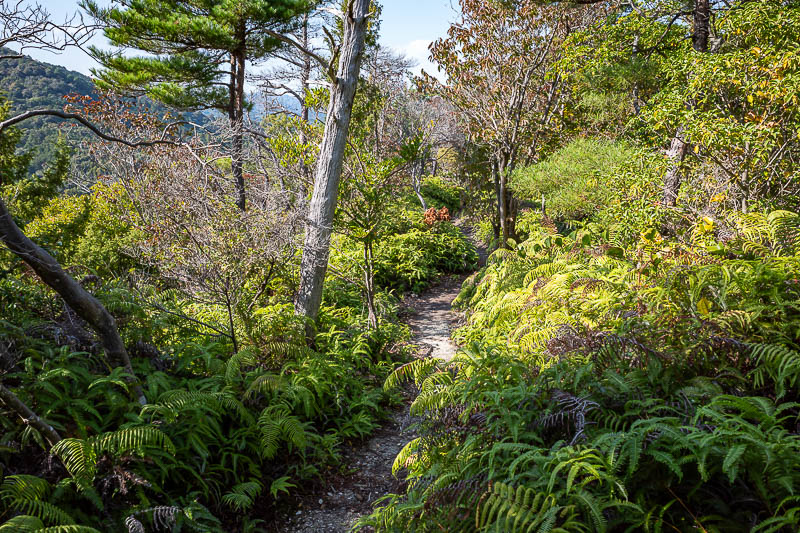 Japan-Tokushima-Hiking-Mount Nakatsumine - Shrine free hang gliding