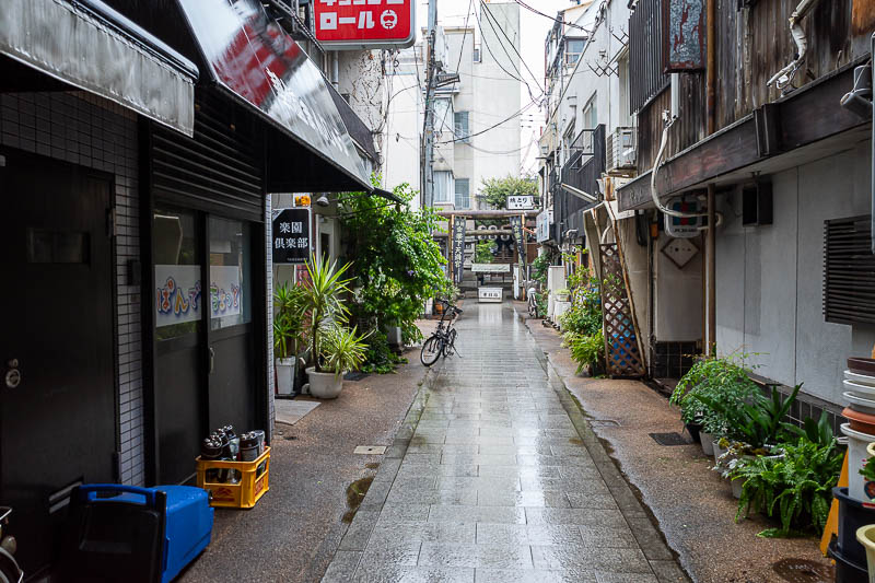 Trip 13 to Japan - October and November 2025 - I awoke to a lot of rain, as predicted correctly by the Japanese Bureau of Meteorology, who unlike the Australian equivalent still have a functioning 