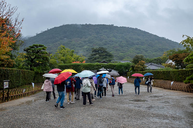Trip 13 to Japan - October and November 2025 - When I arrived at the garden I expected a huge crowd. I think this is everyone. It was very quiet. Entry is $5.