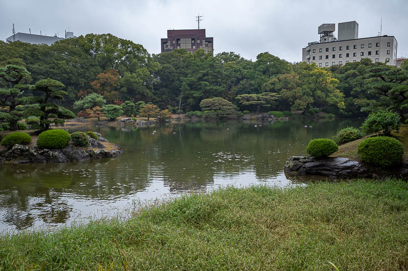 Trip 13 to Japan - October and November 2025 - Not particularly colourful in the rain.