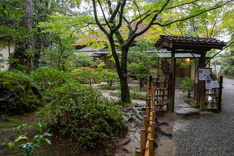 Trip 13 to Japan - October and November 2025 - No entry unless you have a reservation at the cafe.