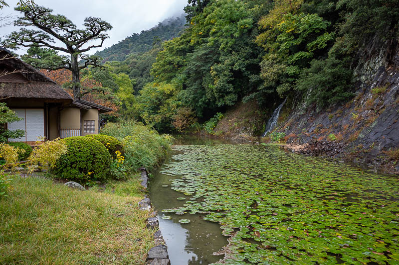 Trip 13 to Japan - October and November 2025 - A small waterfall if you look closely.