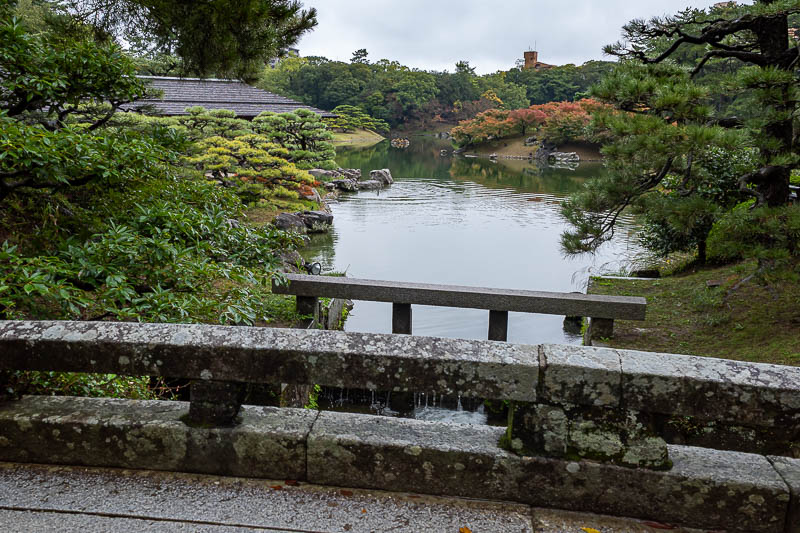 Trip 13 to Japan - October and November 2025 - Note the profound lack of other people?