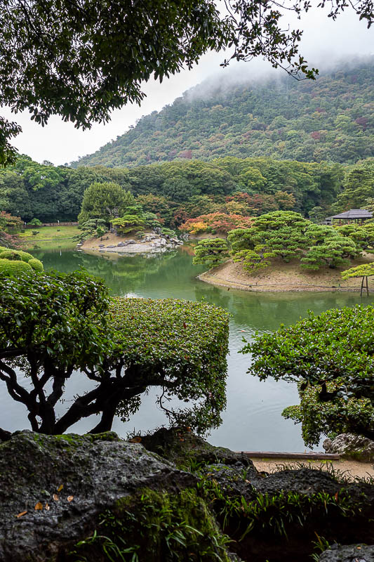 Trip 13 to Japan - October and November 2025 - Very weird photo, the way the hedge is trimmed it looks like the photo cut off in the middle of the screen.