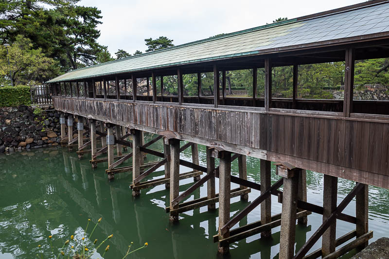 Trip 13 to Japan - October and November 2025 - I enjoyed the bridge.