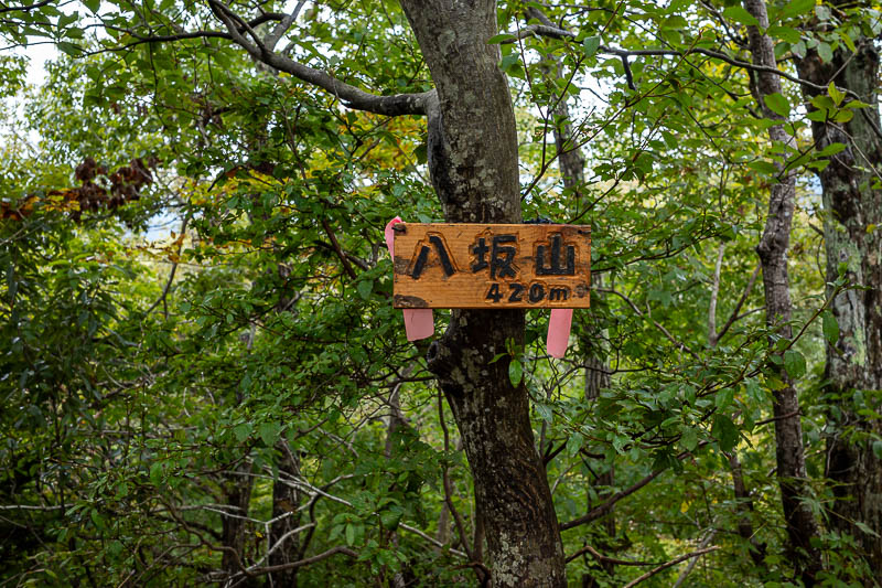 Japan-Tokyo-Hiking-Hachiokayama - The peaks were not at all high, but there was a bit of up and down.