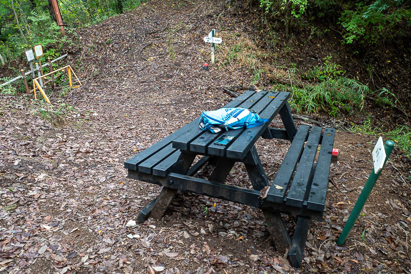 Japan-Tokyo-Hiking-Hachiokayama - To draw my dinosaur picture, I had to double back a few times, this was the main spot. It will all make sense below. That is my long suffering runners