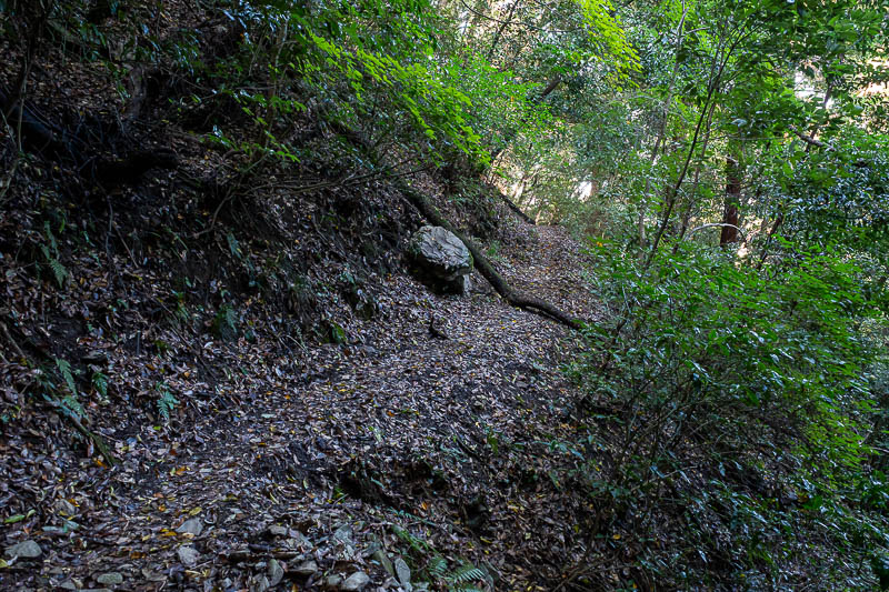 Japan-Takamatsu-Hiking-Kotohira - At first, after a landslide enforced roped detour, the trail was well defined.