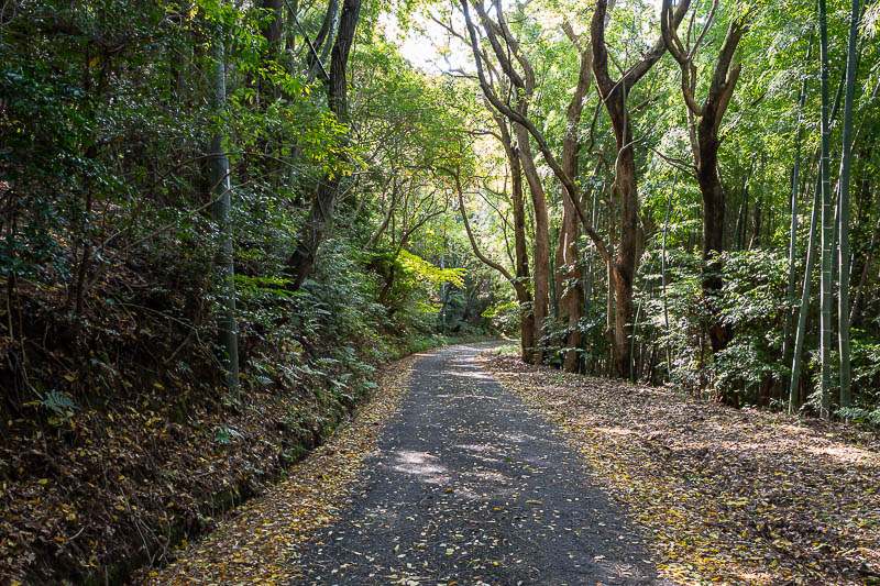 Japan-Takamatsu-Hiking-Kotohira - I was relieved to leave the dangerous part of the trail behind me (for now!) and emerge at a road at the far end of the mountain range.