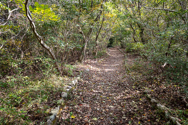 Japan-Takamatsu-Hiking-Kotohira - Nearer the top the trail became more of a garden path.