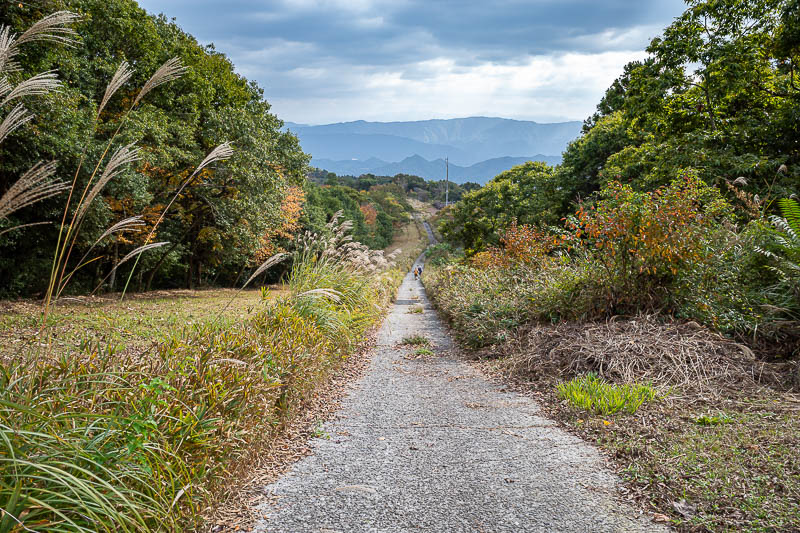 Japan-Takamatsu-Hiking-Kotohira - The start of the way down was also a road, quite unusual, a cleared area on the left of the road. Also here you can see the only 2 other people I saw 