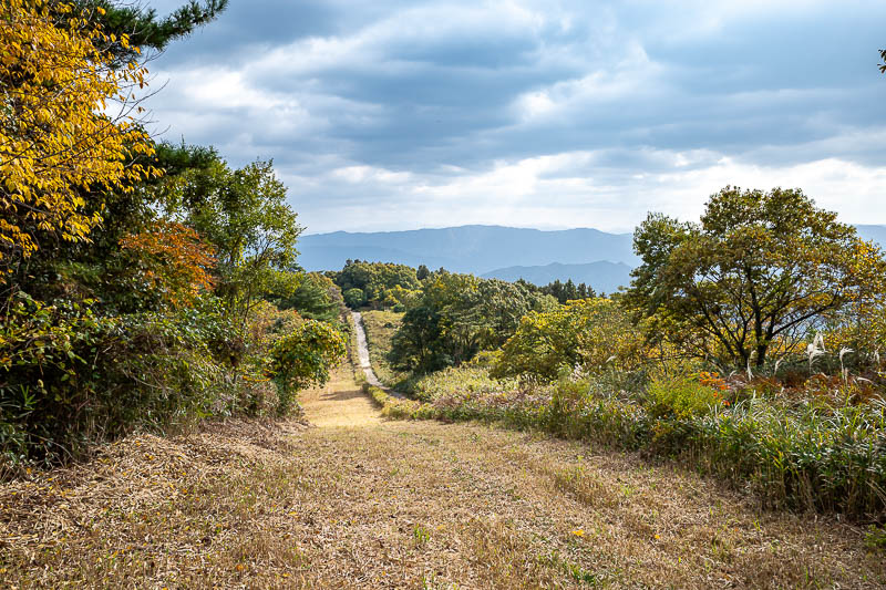 Japan-Takamatsu-Hiking-Kotohira - Weird how they cleared this area for seemingly no reason.