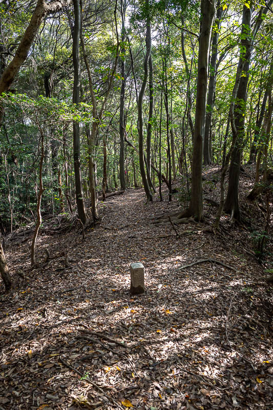 Japan-Takamatsu-Hiking-Kotohira - It was a long descent, with a lot of hanging onto trunks and half sliding down. I was happy to get to this point.