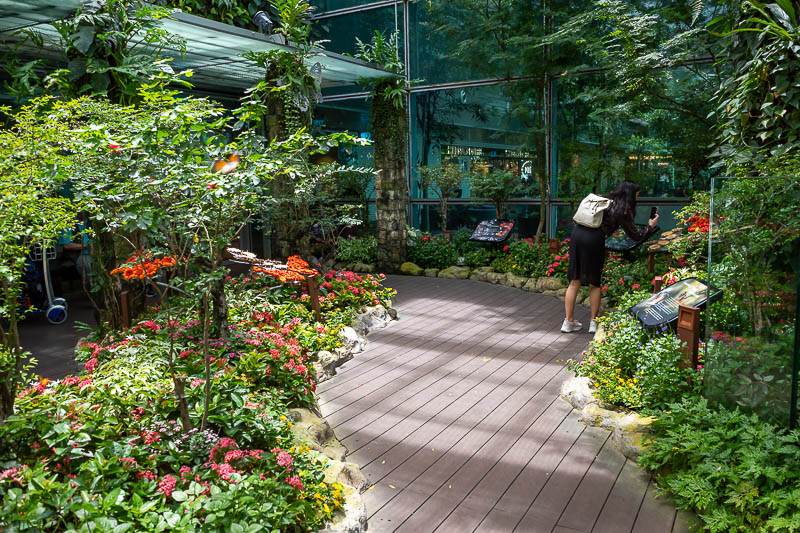 Singapore-Airport - Here is the butterfly garden. I think it was basically dead one time when I visited a couple years ago, now it is all green again.