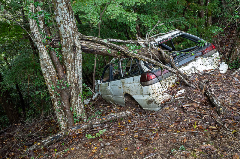 Japan-Tokyo-Hiking-Hachiokayama - The road was narrow and muddy, with consequences.
