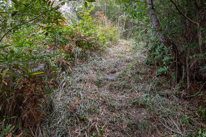 Japan-Takamatsu-Hiking-Mount Inazumi - Parts of the trail had been recently maintained.