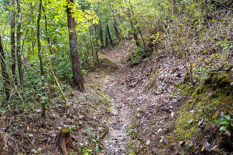 Japan-Tokyo-Hiking-Hachiokayama - The path got muddier.
