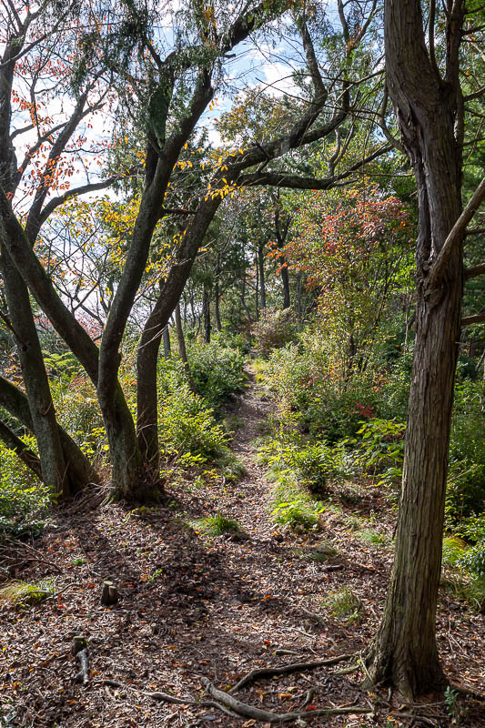 Japan-Takamatsu-Hiking-Mount Inazumi - This area near Shihoyama was really nice, I was very surprised there was no one else around.