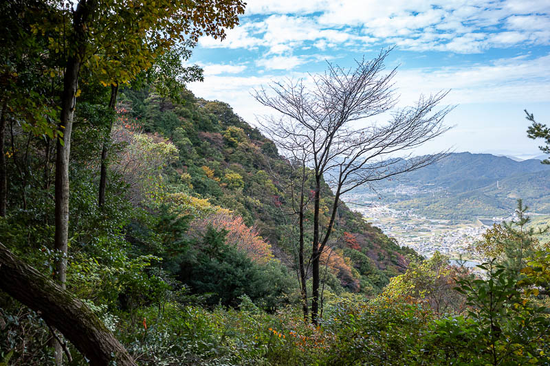Japan-Takamatsu-Hiking-Mount Inazumi - I now started to run most of the way back, confident I had knocked all the spiders down.