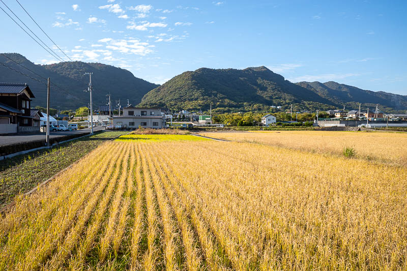 Japan-Takamatsu-Hiking-Mount Inazumi - I had timed it (by accident) almost perfectly to meet the once an hour train, but still had enough time for a rare photo of a farm that is not burning