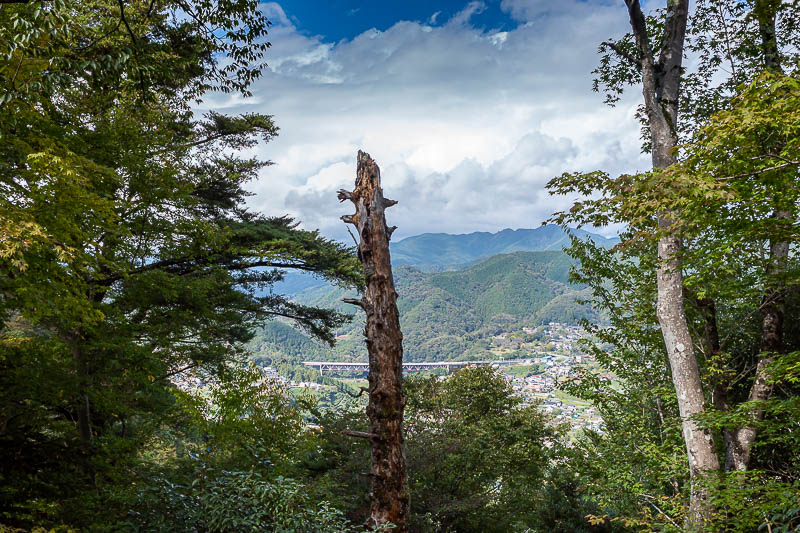 Japan-Tokyo-Hiking-Hachiokayama - A bit of blue sky!