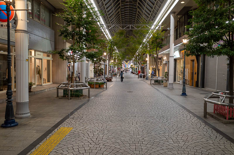 Trip 13 to Japan - October and November 2025 - Now it is time to walk the length of Omotecho. It has trees. I have portrayed it as unfairly quiet.