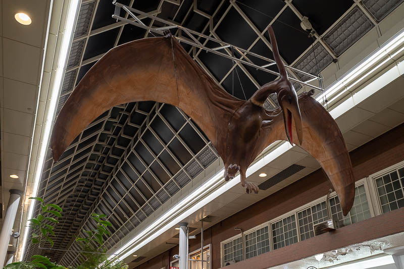 Japan-Okayama-Shotengai-Ramen - Station takeover
