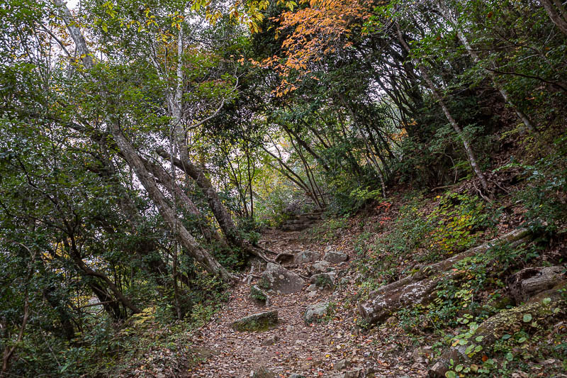 Japan-Okayama-Castle-Hiking - The lower bits of the hike before the car park and shuttle bus stop are a proper hike. Very lonely.