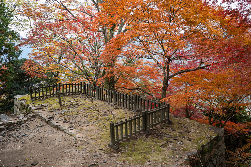 Japan-Okayama-Castle-Hiking - Here is the most autumn I have seen so far on this trip. I do notice that the peak autumn stuff is near castles and shrines, so I suspect they are del