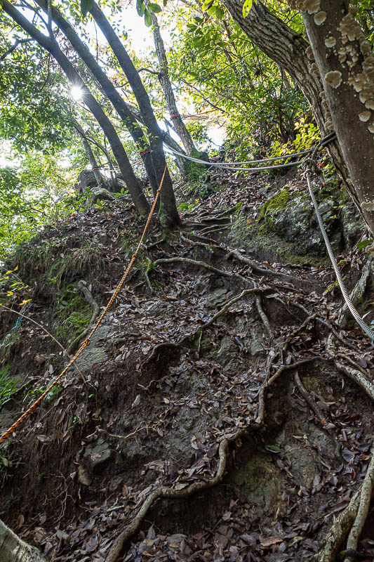 Japan-Tokyo-Hiking-Hachiokayama - Near the end of the main loop and ropes appeared. With the muddy trail they were definitely required.