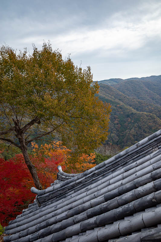 Japan-Okayama-Castle-Hiking - I will now continue around that ridge to get a view of the castle, but not what is often a sea of clouds below. Another thing this castle is famous fo