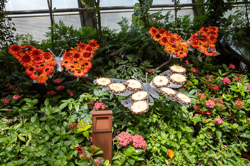 Singapore-Airport - There were actually butterflies