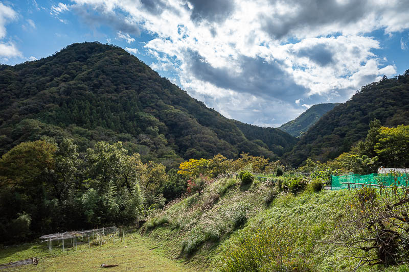 Japan-Tokyo-Hiking-Hachiokayama - I came back out onto a road near the lake for some great light over some farms. It was near here that I saw snake number one of two.